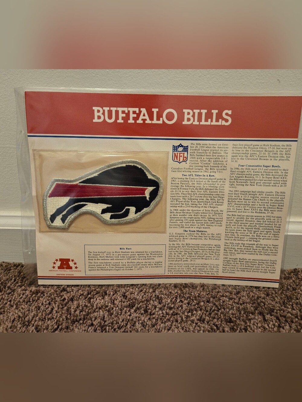 Vintage 1995 Buffalo Bills NFL Football Team PATCH Iron On